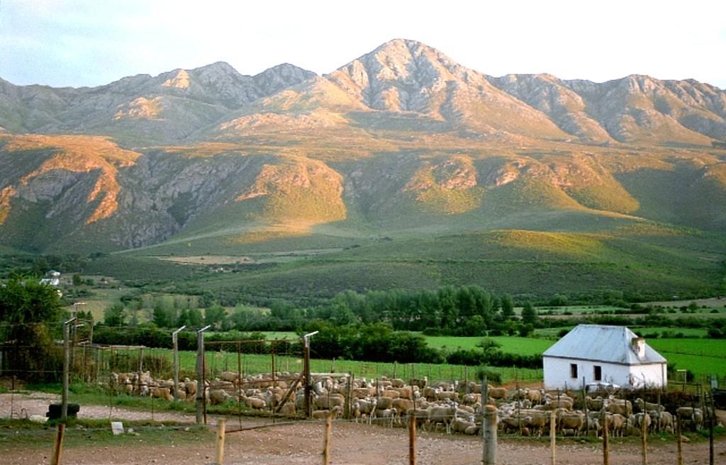 Gasthaus Swartberg Country Manor Matjiesrivier  Exterior foto